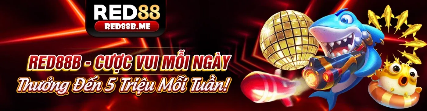 Hình ảnh chính sách cookie nhatvip888